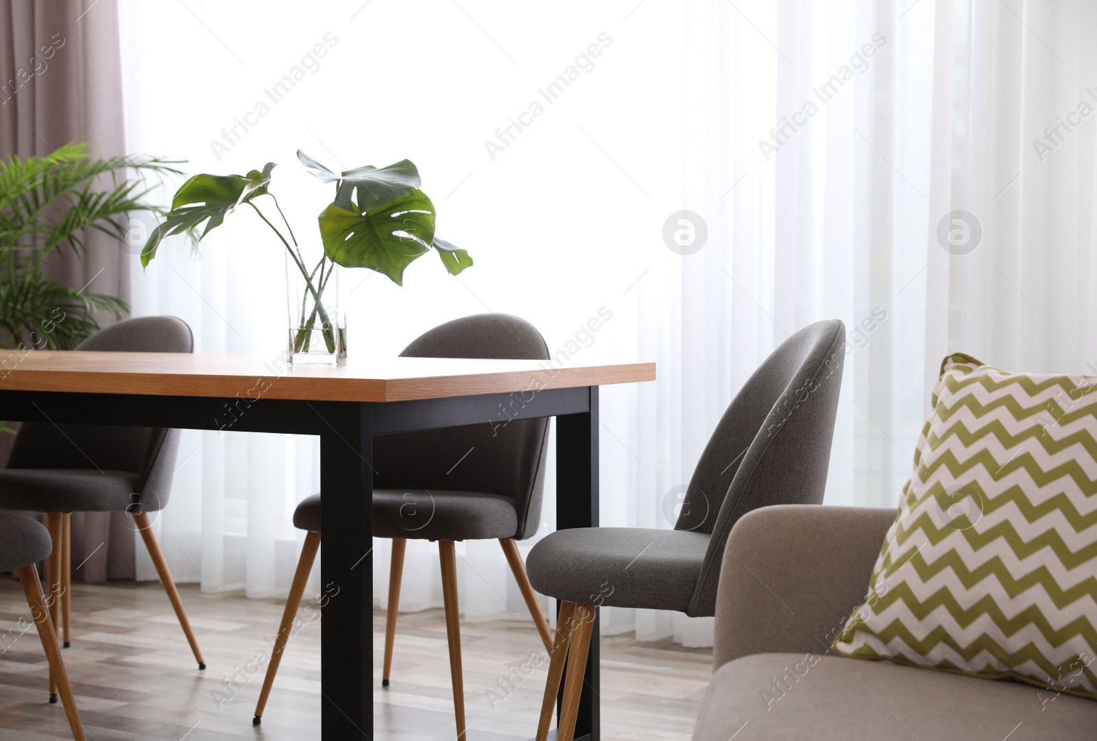 Photo of Fresh leaves of tropical plants on table in room. Home decoration