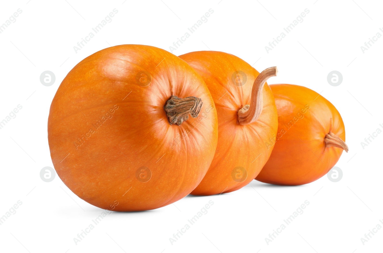 Photo of Many fresh orange pumpkins isolated on white