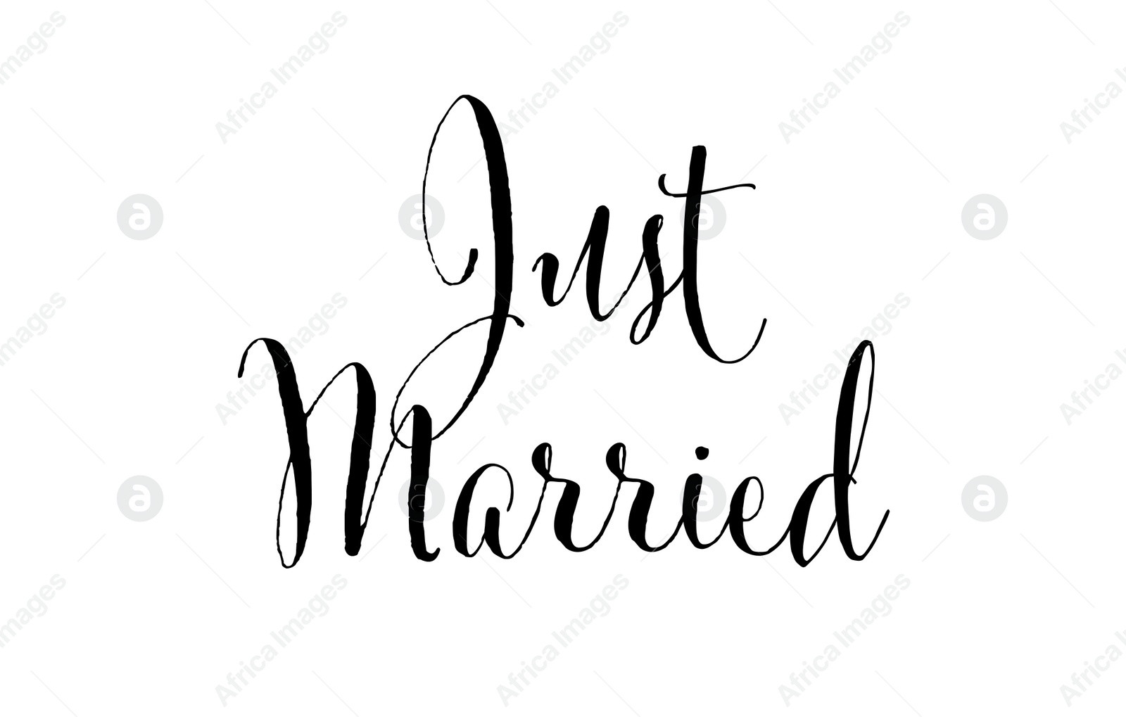 Image of Text Just Married on white background. Wedding day