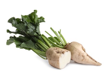 Photo of Whole and cut sugar beets on white background