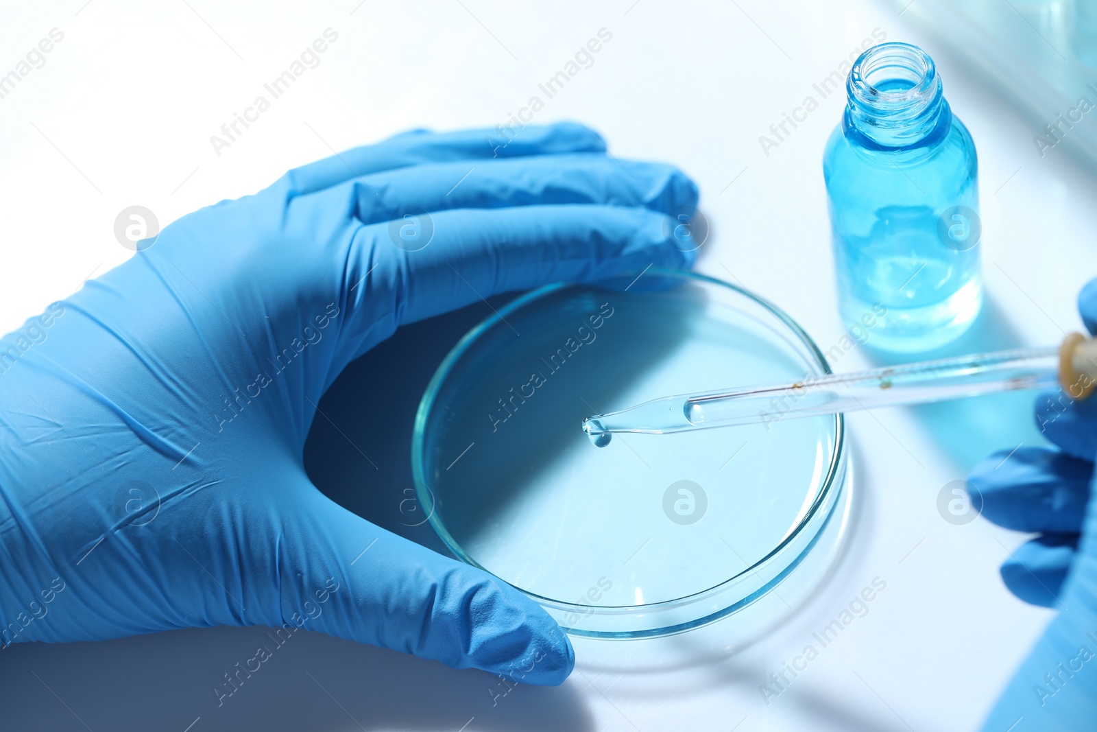 Photo of Scientist dripping liquid from pipette into petri dish at white table, closeup