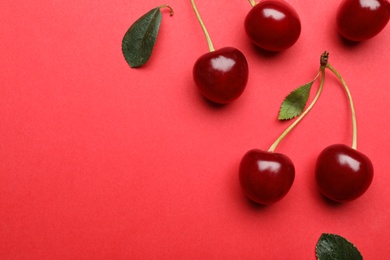 Photo of Tasty ripe cherries with leaves on red background, flat lay. Space for text