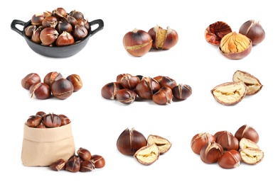 Image of Set of sweet roasted edible chestnuts isolated on white
