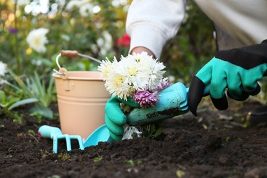 Photo of Woman in gardening gloves transplanting flowers outdoors, closeup