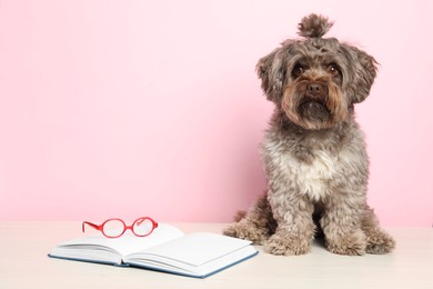 Photo of Cute Maltipoo dog with book and glasses on white table against pink background, space for text. Lovely pet