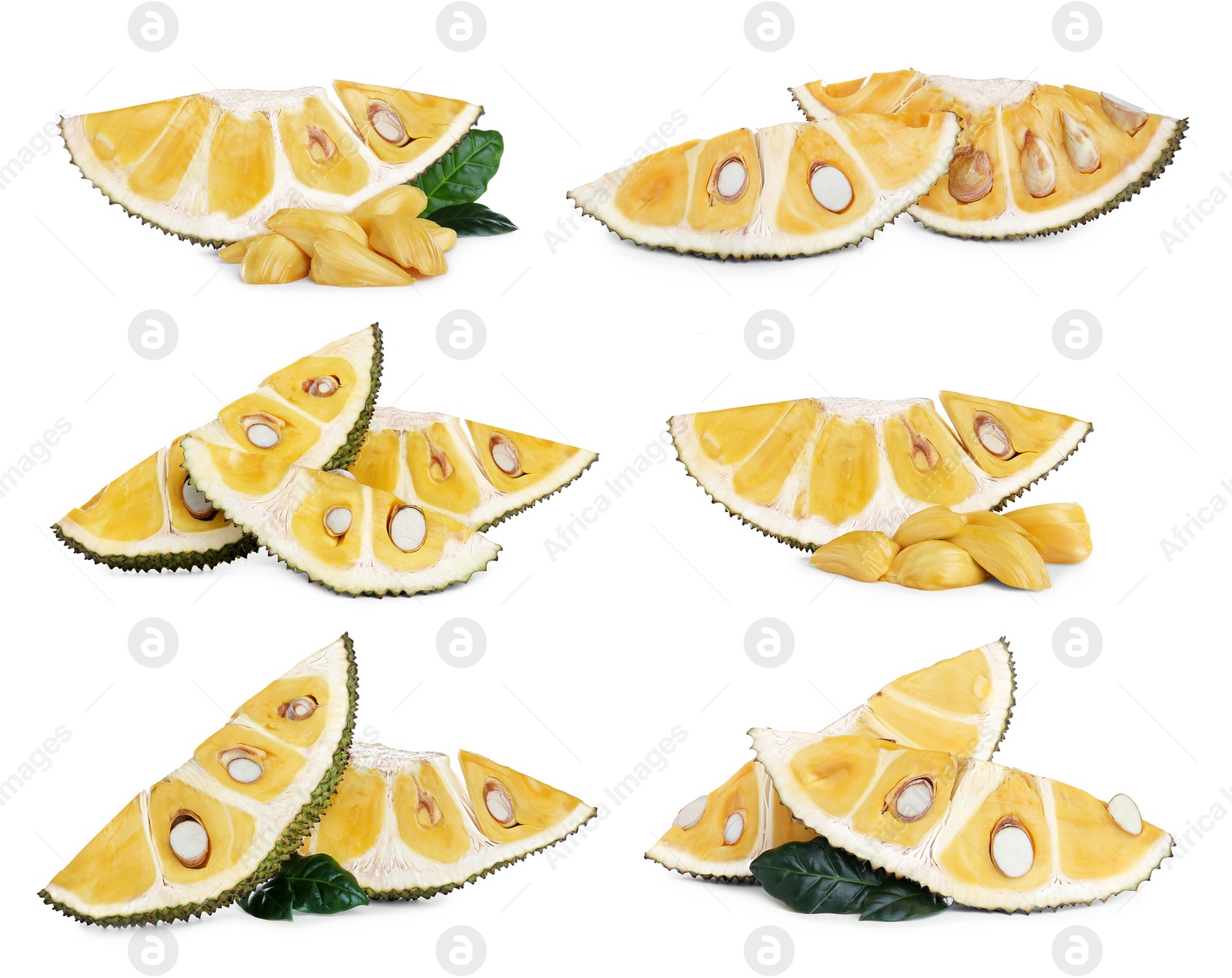 Image of Set with slices of delicious exotic jackfruit on white background