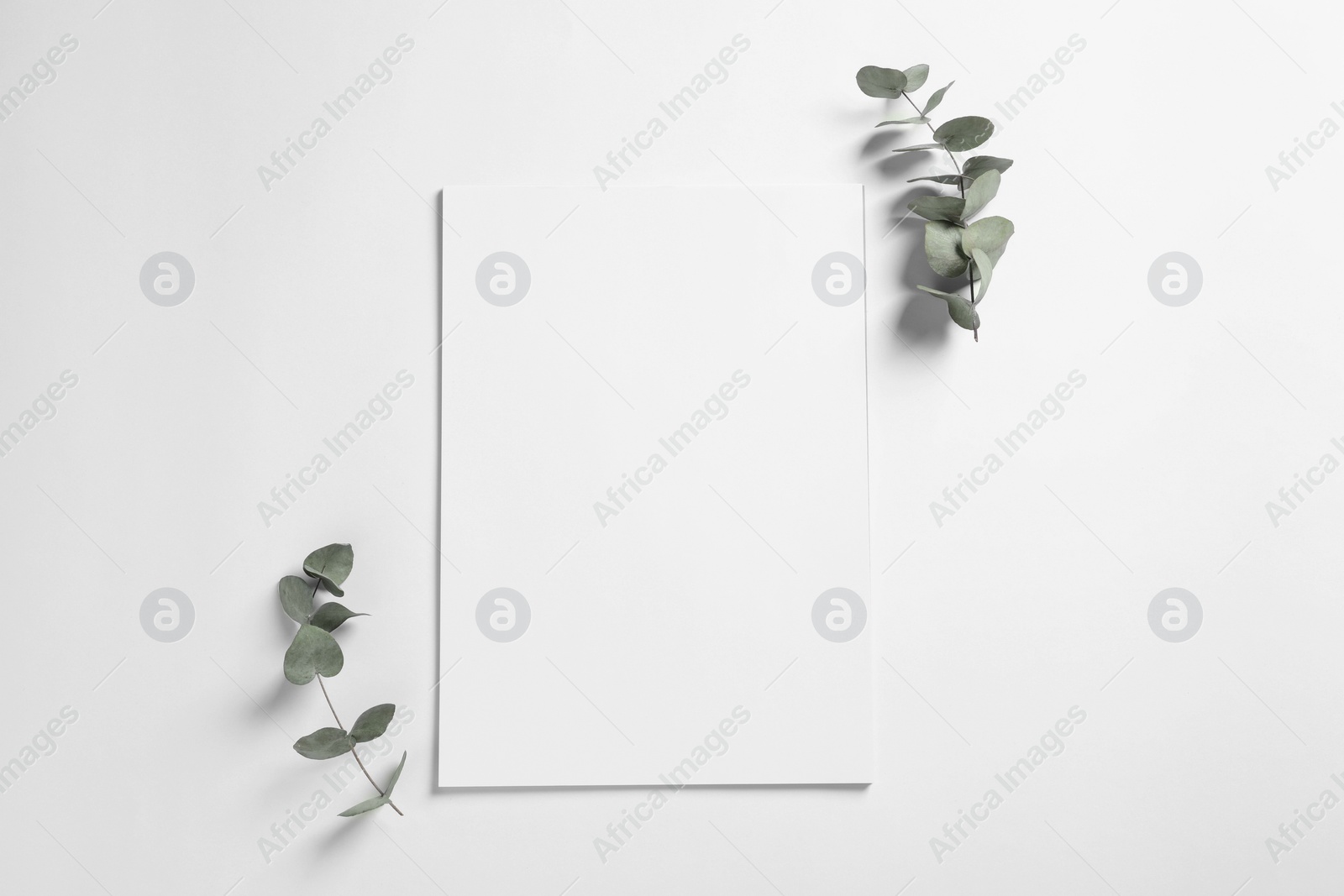 Photo of Empty sheet of paper and decorative eucalyptus leaves on white background, flat lay. Mockup for design