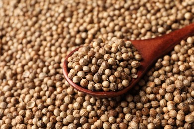 Photo of Dried coriander seeds and wooden spoon, closeup