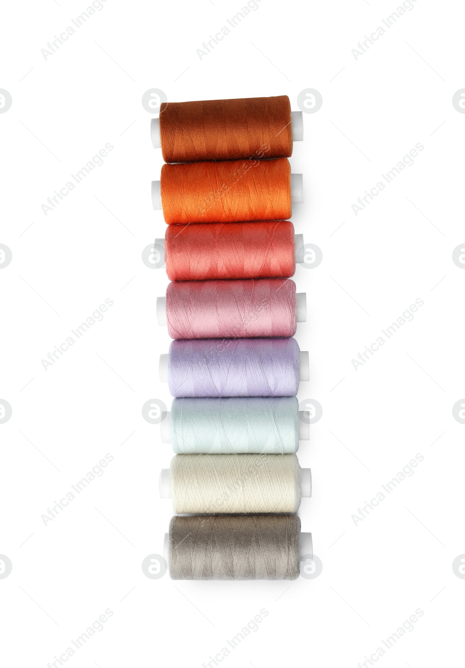 Photo of Set of different colorful sewing threads on white background, top view