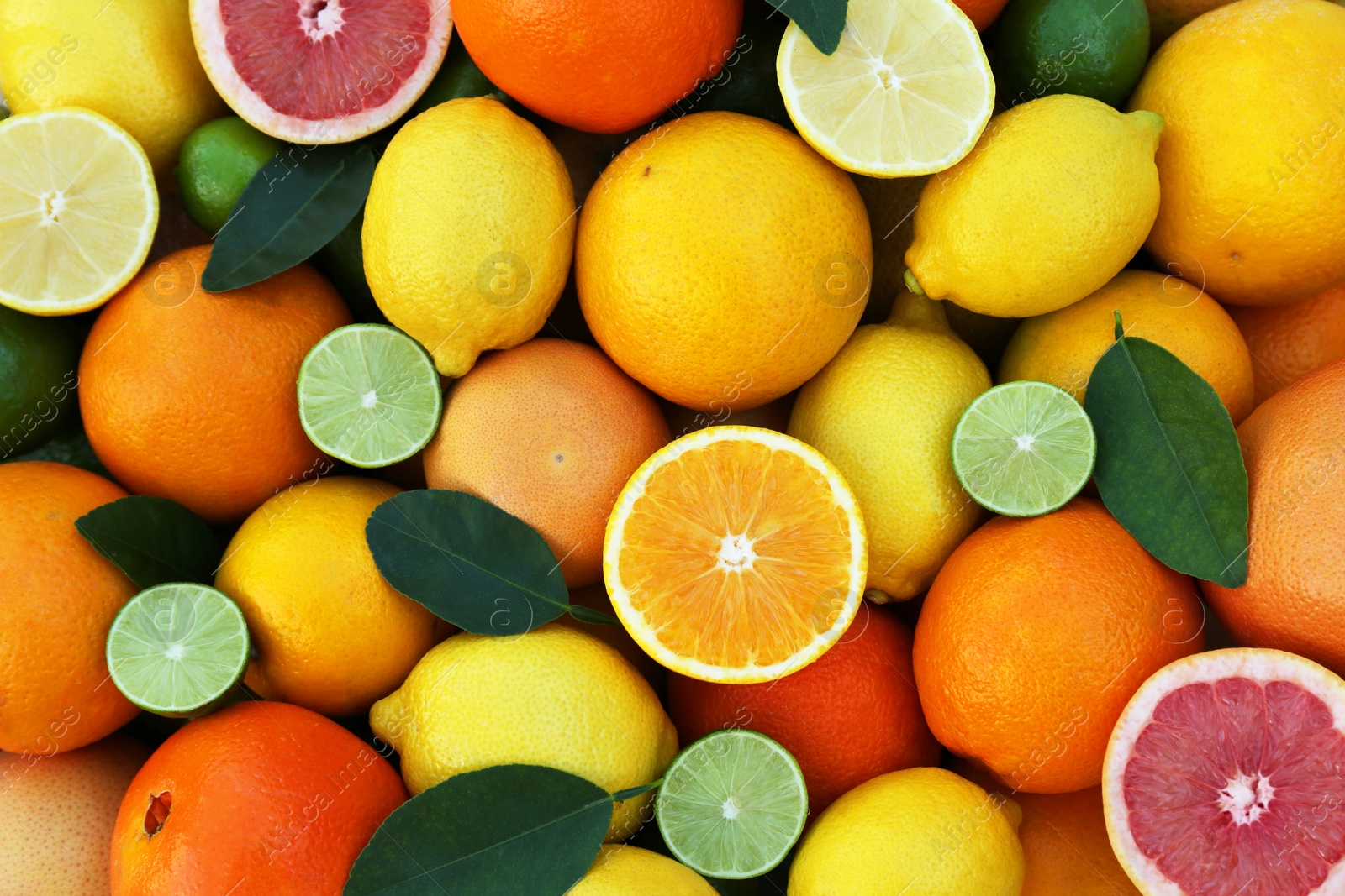 Photo of Many different whole and cut citrus fruits as background, top view