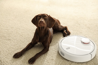 Photo of Modern robotic vacuum cleaner and German Shorthaired Pointer dog on floor indoors