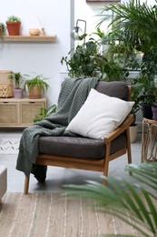 Photo of Comfortable armchair and beautiful houseplants in room. Lounge area interior