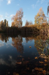 Picturesque view of lake and trees on autumn day