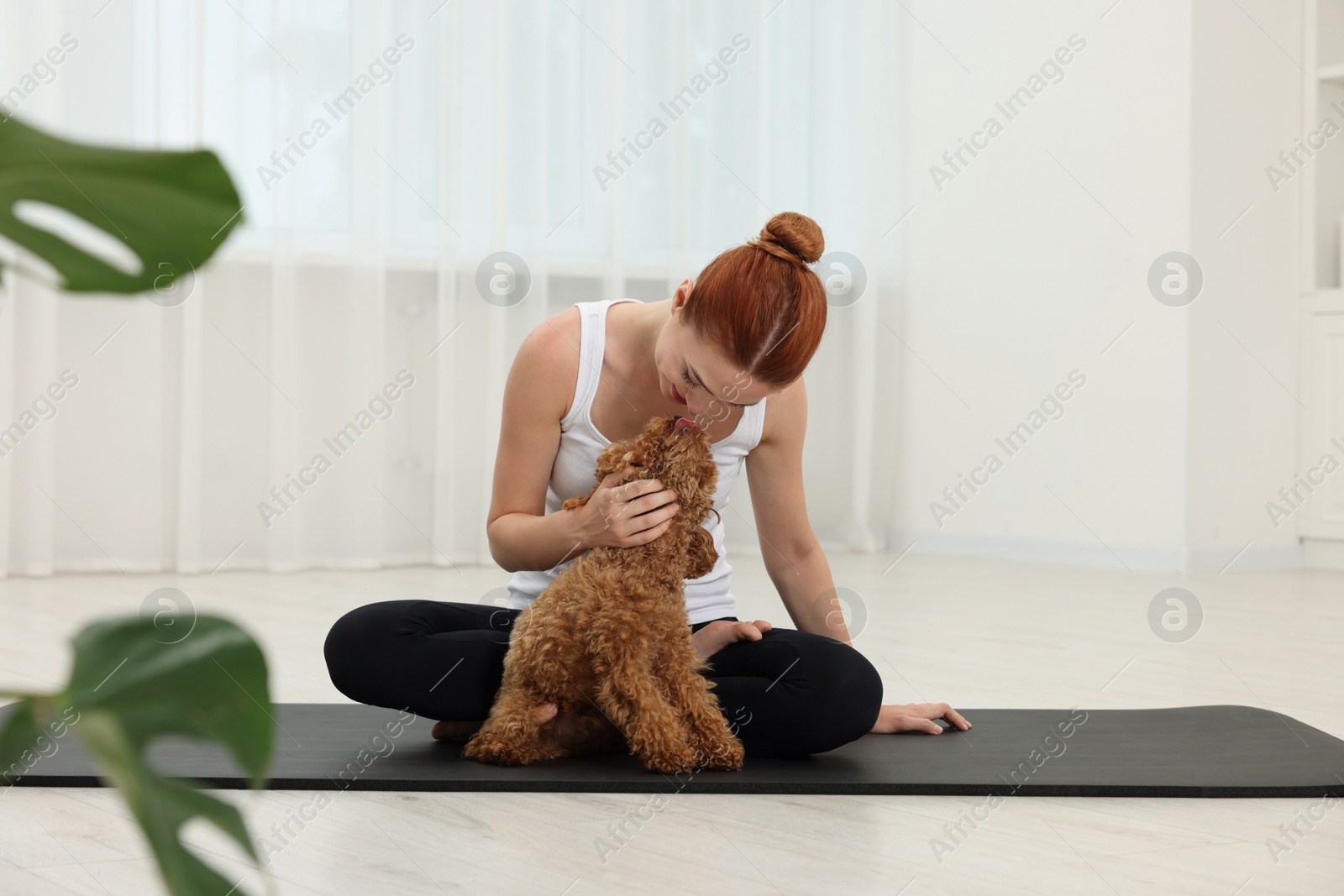 Photo of Young woman practicing yoga on mat with her cute dog indoors