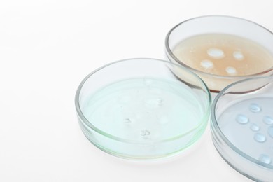 Petri dishes with color liquids on white background, closeup