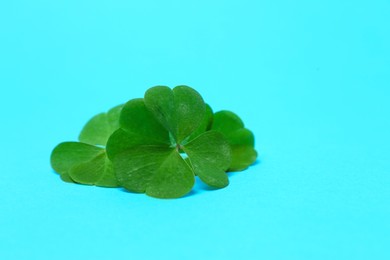 Photo of Beautiful green four leaves clover on light blue background