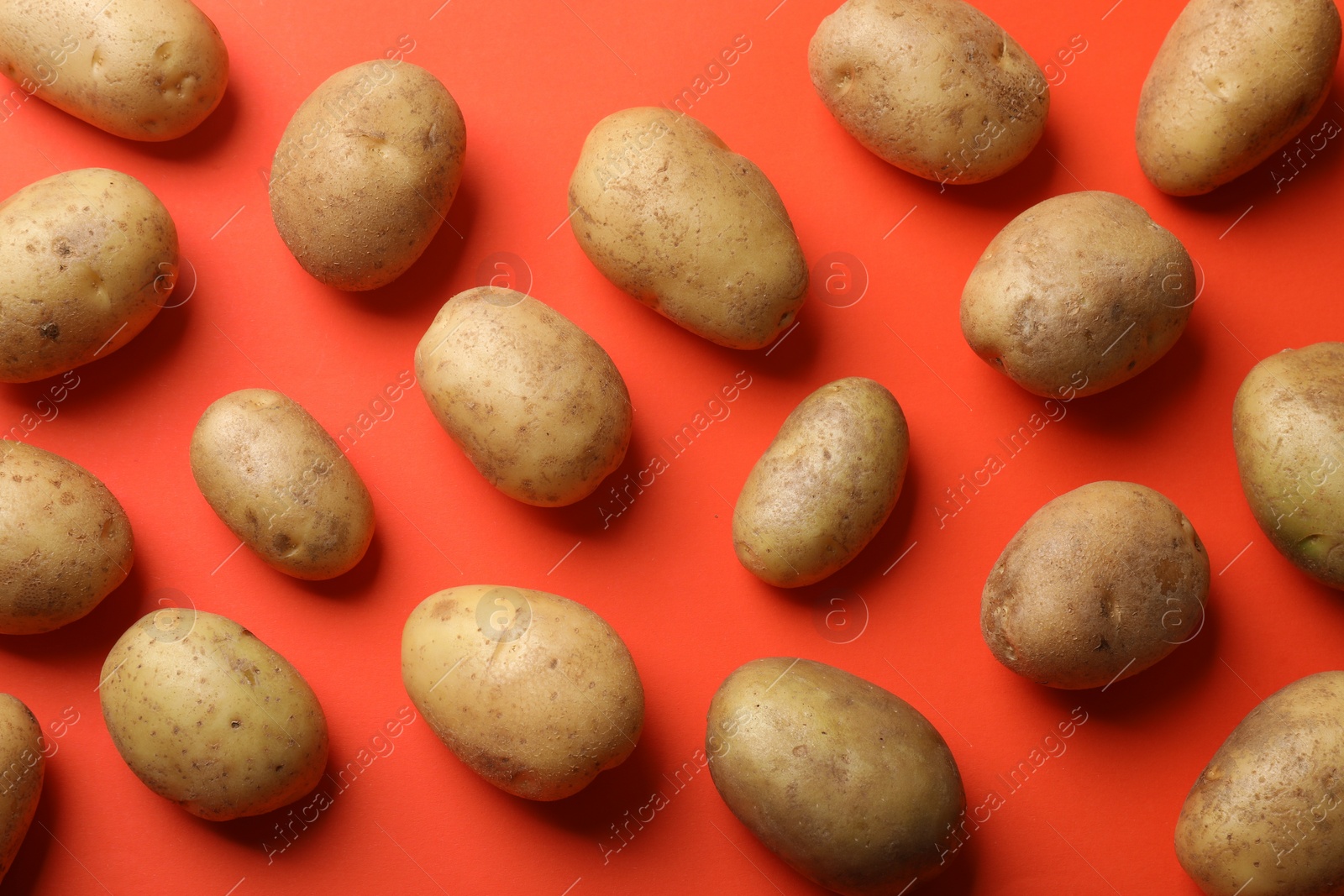 Photo of Many fresh potatoes on red background, flat lay