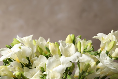 Photo of Beautiful freesia flowers on grey background, closeup