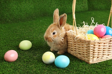 Adorable furry Easter bunny near wicker basket and dyed eggs on green grass, space for text