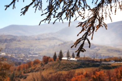 Picturesque landscape with pine tree boughs and mountains