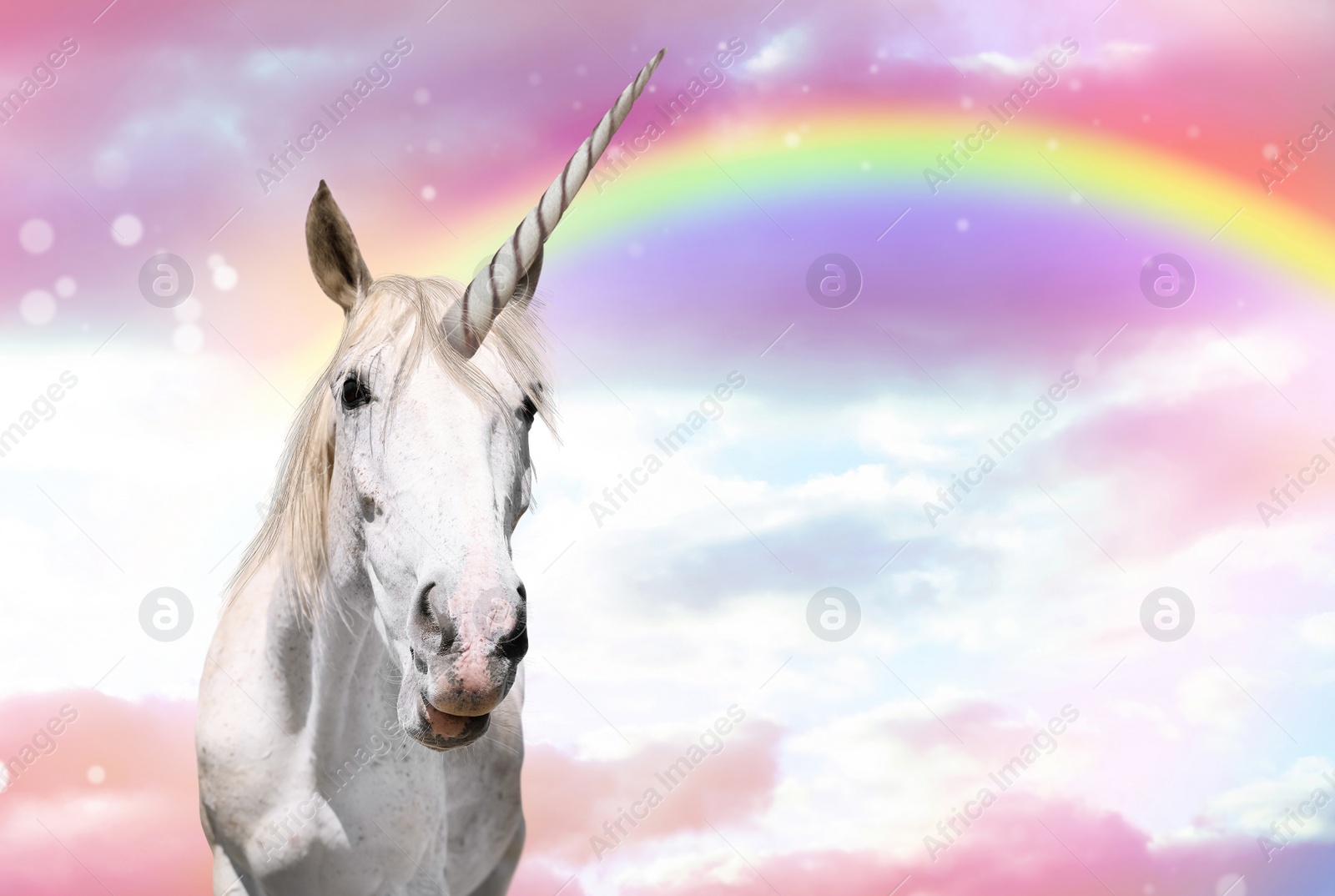 Image of Magic unicorn in beautiful sky with rainbow and fluffy clouds. Fantasy world