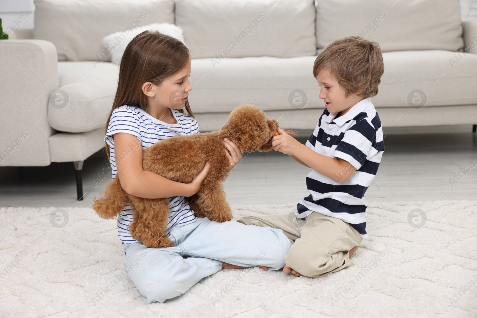 Photo of Little children playing with cute puppy on carpet at home. Lovely pet