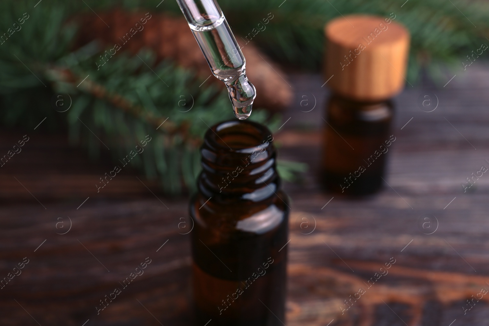 Dripping pine essential oil into bottle at wooden table, closeup Photo of Dripping pine essential oil into bottle at wooden table, closeup