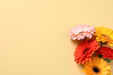 Photo of Beautiful colorful gerbera flowers on beige background, flat lay. Space for text