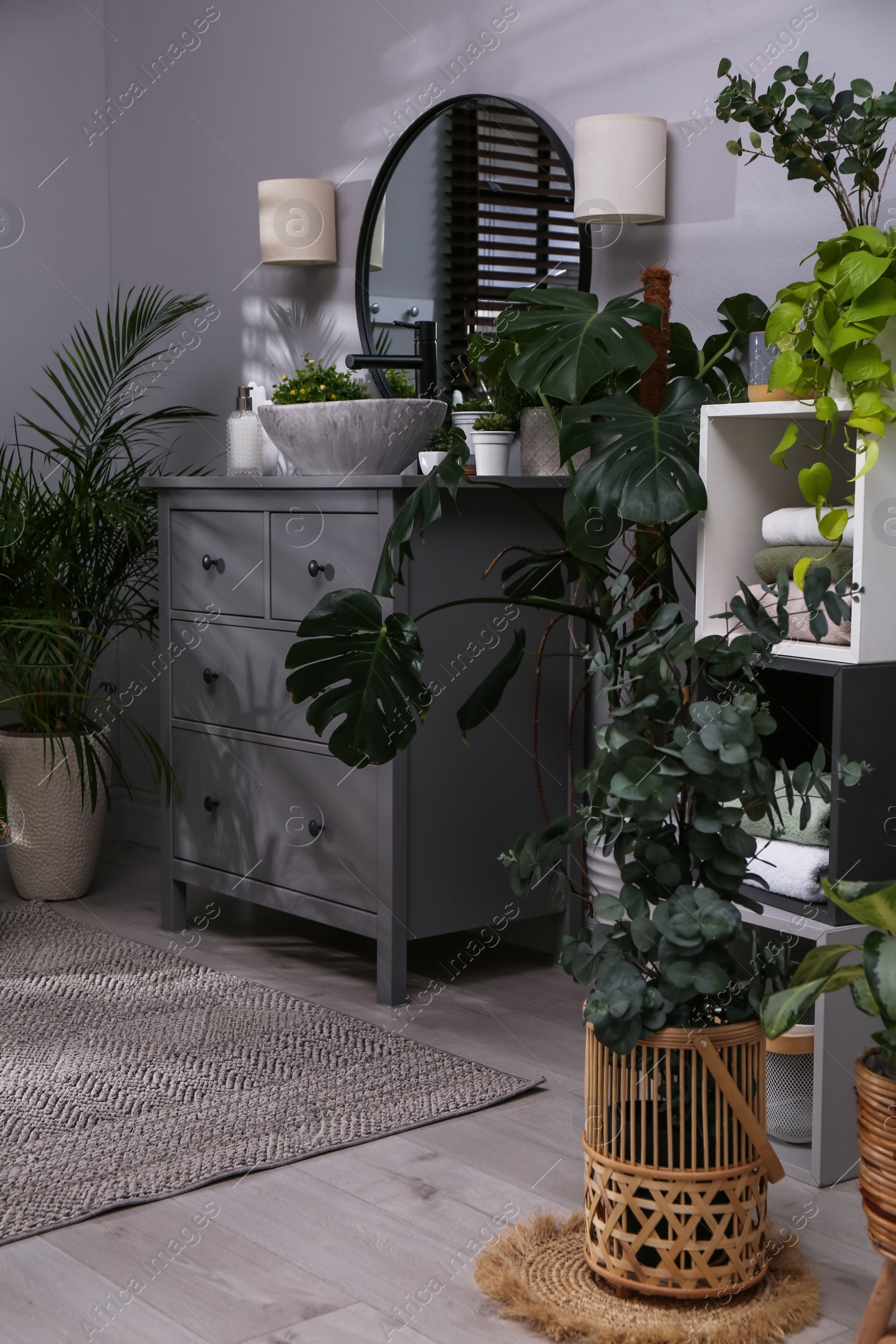 Photo of Stylish bathroom interior with modern furniture and beautiful green houseplants