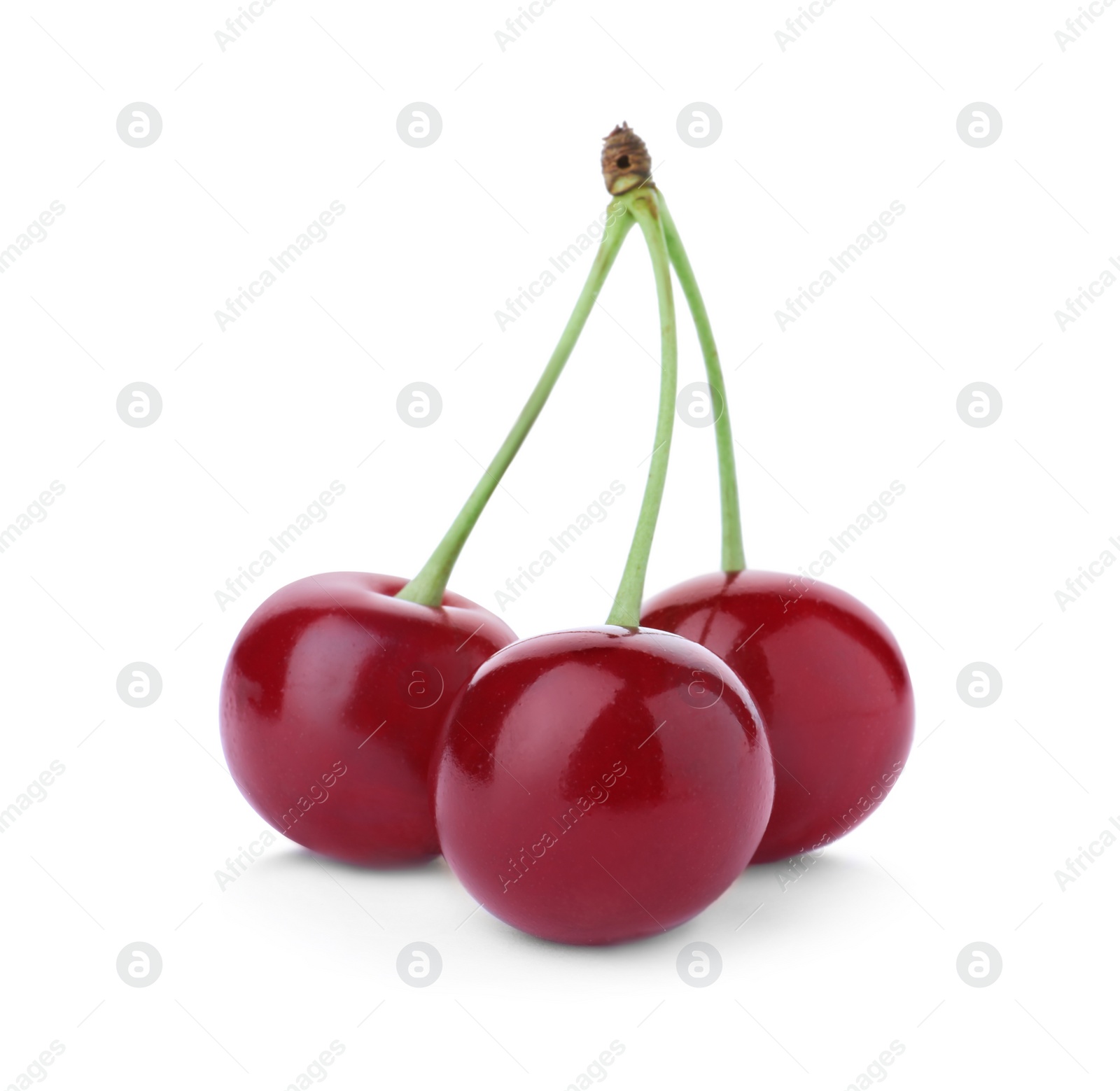 Photo of Delicious ripe sweet cherries isolated on white