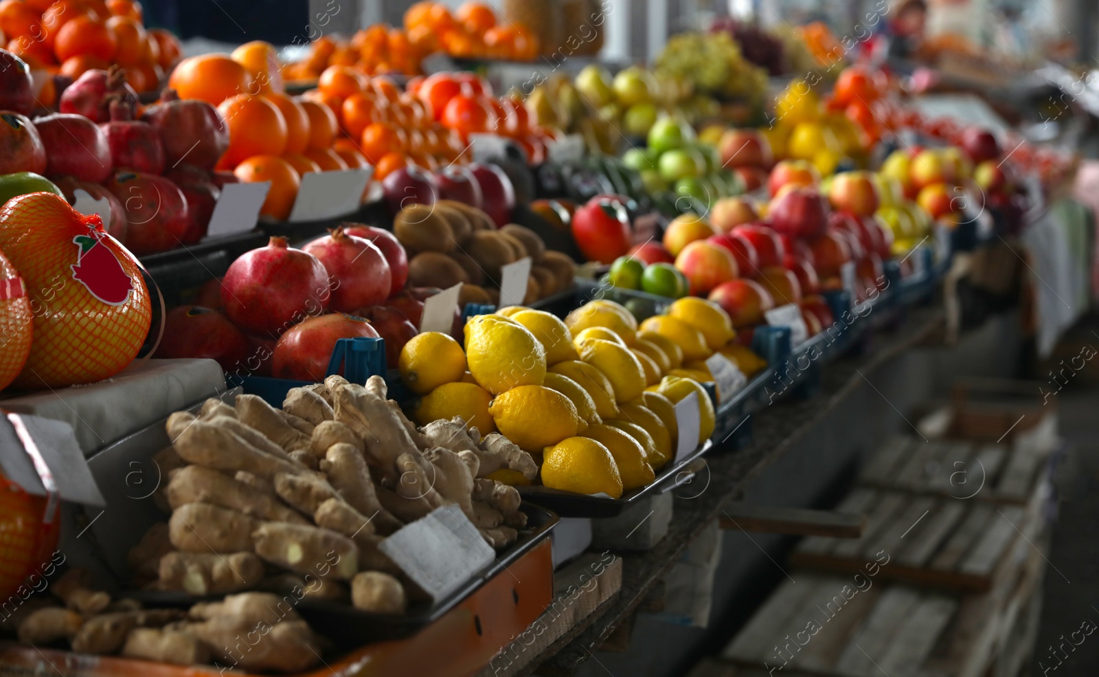 Photo of Tasty fresh fruits on counter at wholesale market