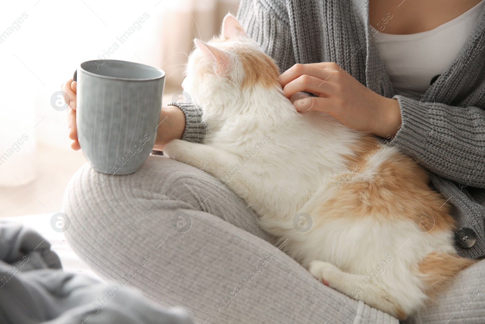 Photo of Woman with cute fluffy cat and tea on light background, closeup