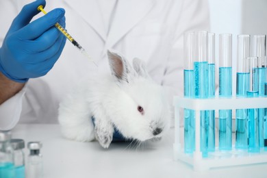 Photo of Scientist with syringe and rabbit in chemical laboratory, closeup. Animal testing