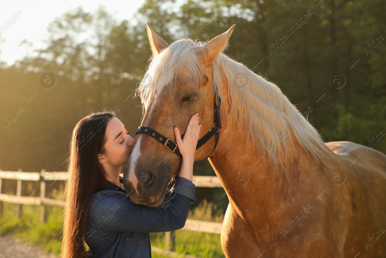 Photo of Beautiful woman with adorable horse outdoors. Lovely domesticated pet