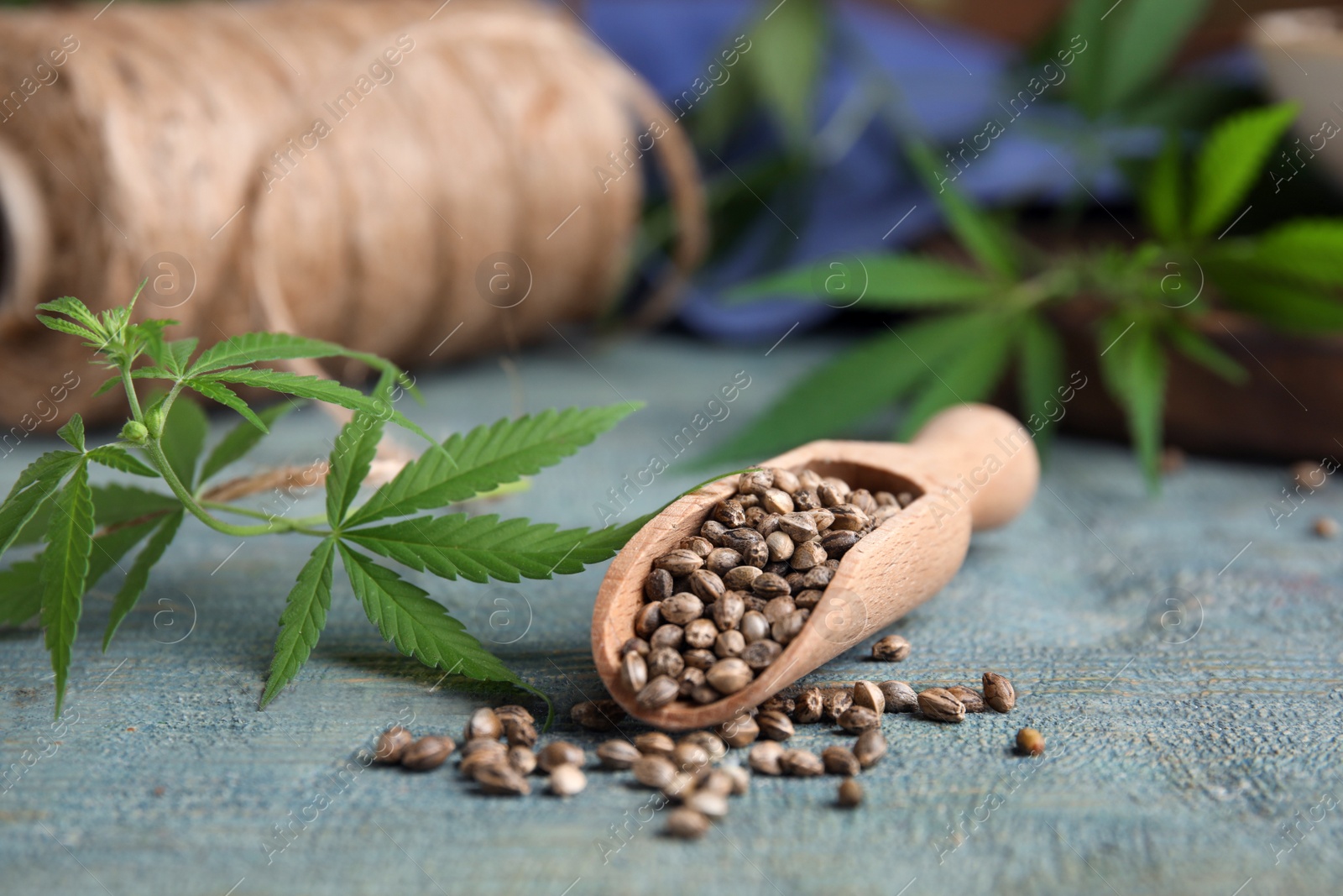 Photo of Scoop with hemp seeds and leaves on light blue wooden table