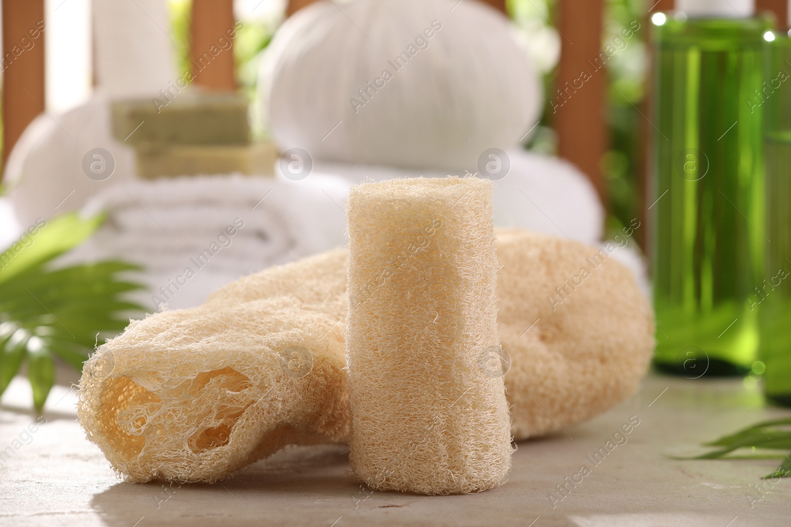 Photo of Natural loofah sponges on grey textured table