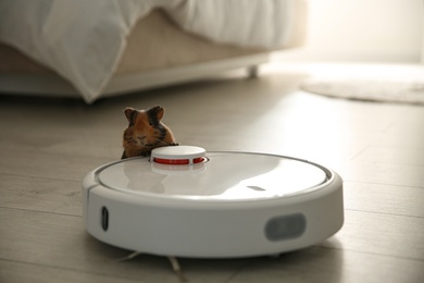 Photo of Modern robotic vacuum cleaner and guinea pig on floor at home