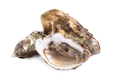Photo of Fresh raw closed and open oysters on white background