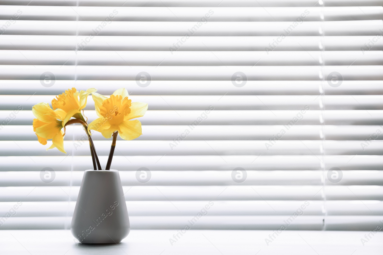 Photo of Window with blinds and beautiful bouquet on sill, space for text