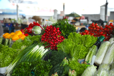 Fresh ripe vegetables and herbs on counter at wholesale market