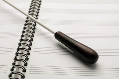 Photo of Conductor's baton on open lead sheet, closeup
