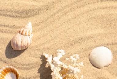 Photo of Seashells and coral on beach sand with wave pattern. Space for text