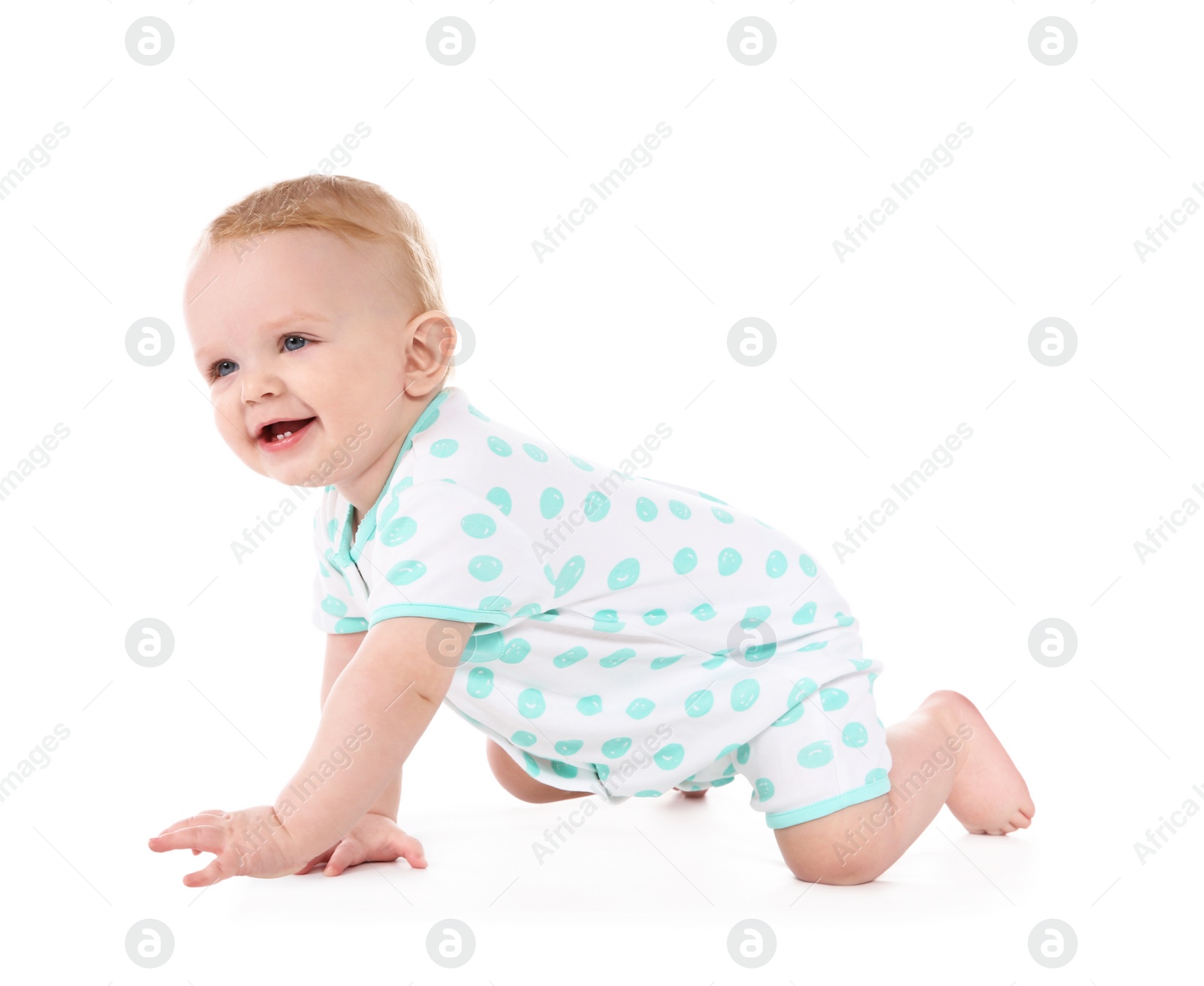 Photo of Cute little baby crawling on white background
