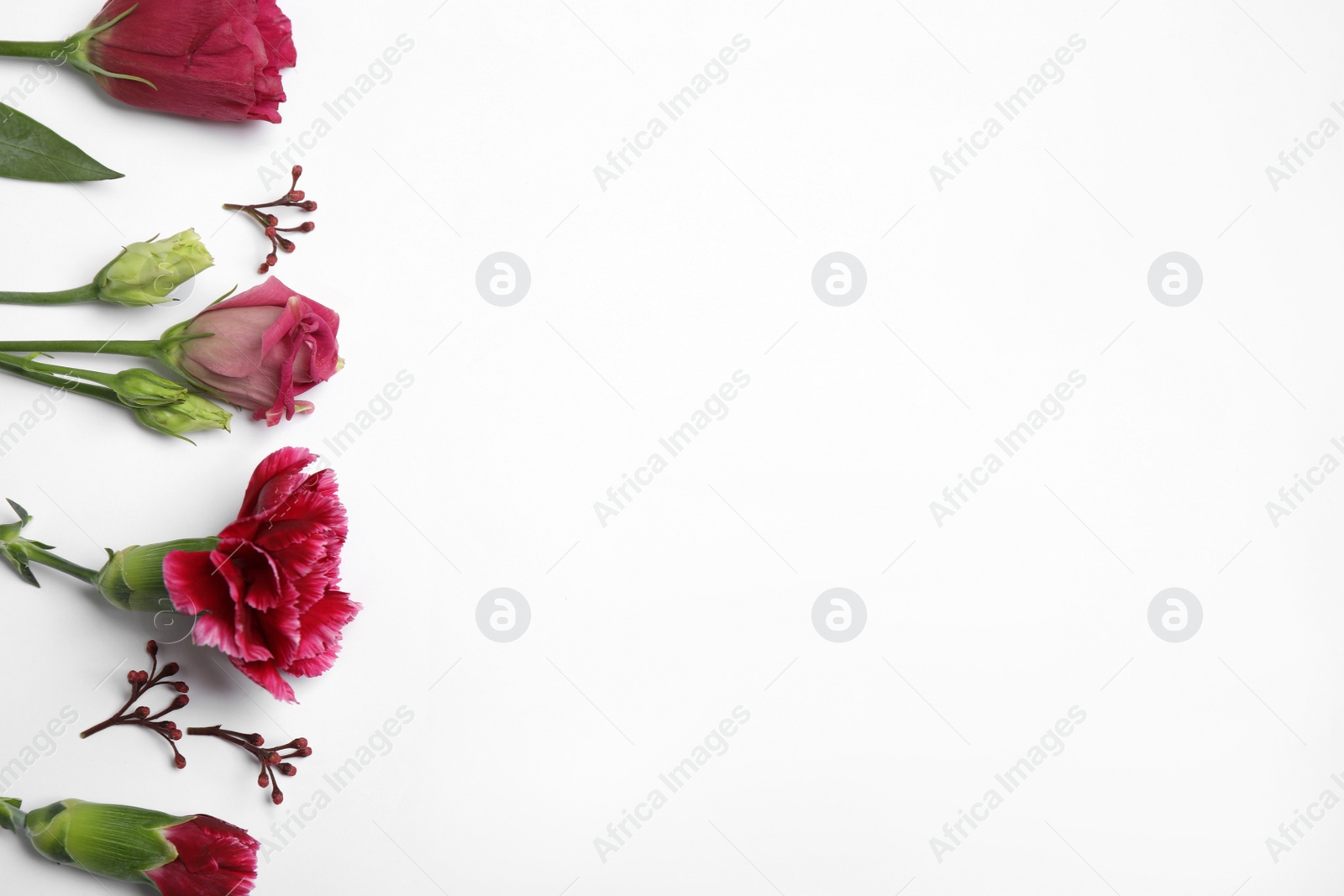 Photo of Beautiful floral composition with flowers on white background, flat lay. Space for text