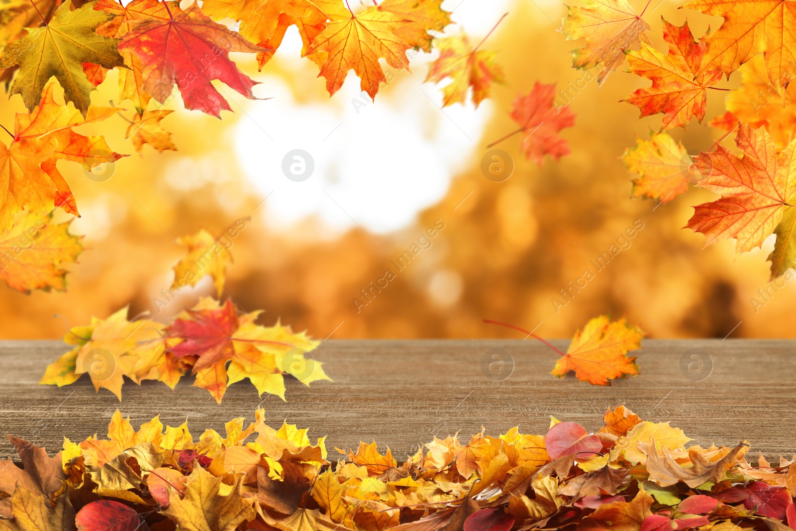 Image of Wooden surface with beautiful autumn leaves on blurred background