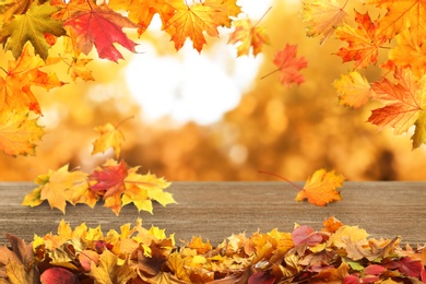 Image of Wooden surface with beautiful autumn leaves on blurred background