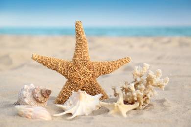 Photo of Starfish and beautiful seashells on sandy beach