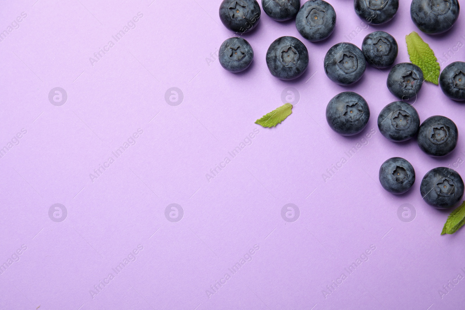 Photo of Tasty ripe blueberries and leaves on violet background, flat lay with space for text