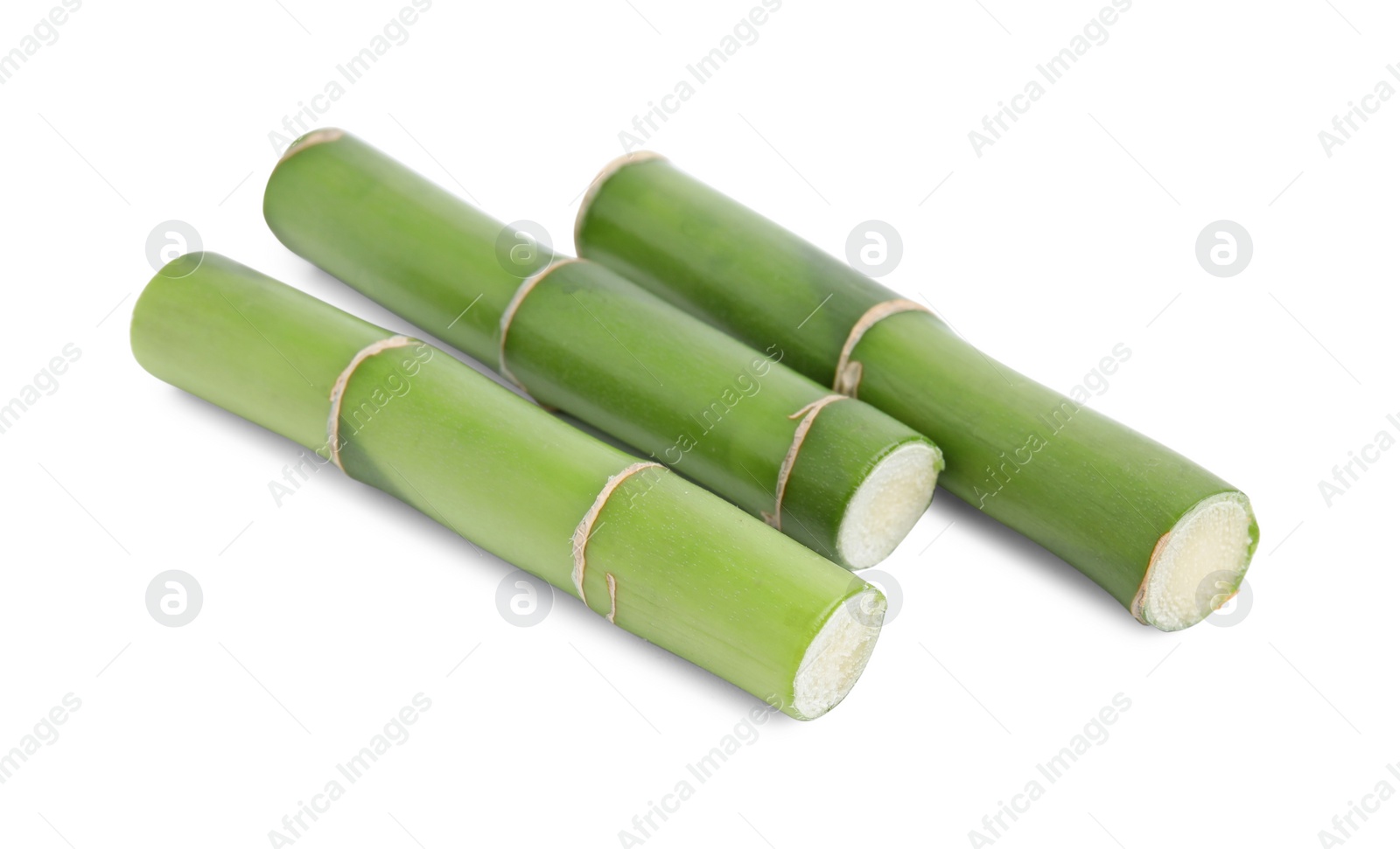 Photo of Pieces of beautiful green bamboo stems on white background