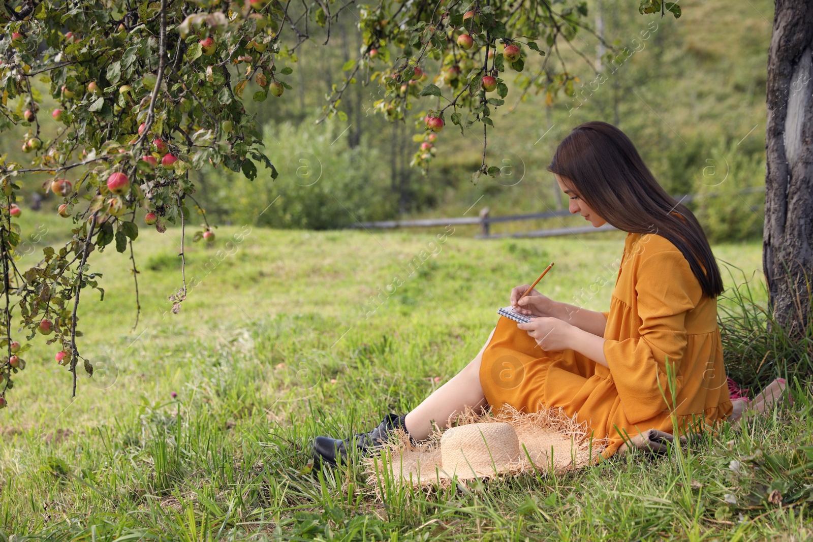 Photo of Beautiful young woman drawing with pencil in notepad on green grass near apple tree